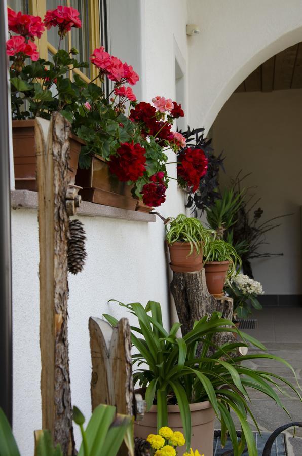 Schupferhof Apartment Petersberg Exterior photo